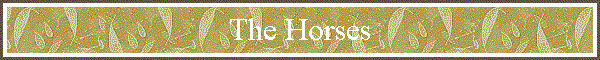 The Horses