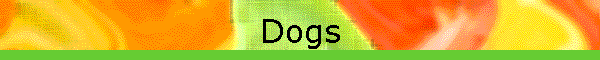Dogs
