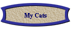 My Cats